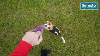 Easy Peasy Protection 15 sec Ad - Dog