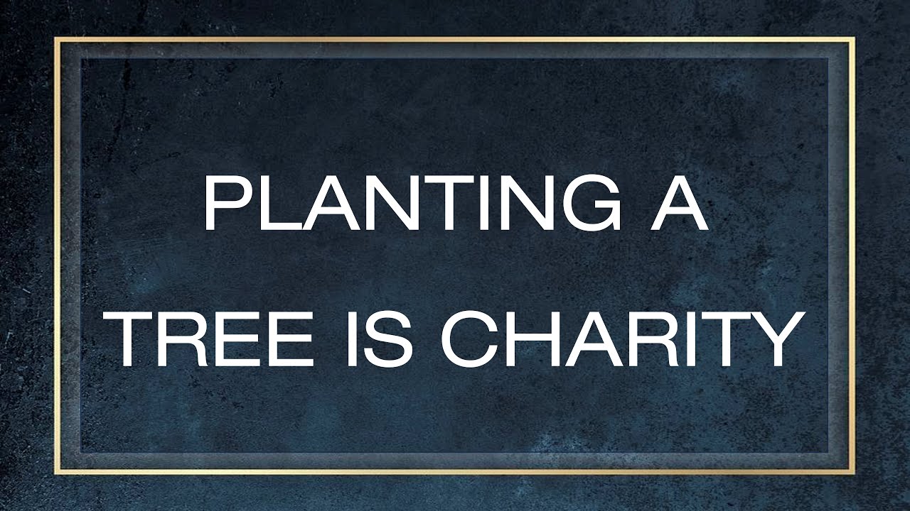 Planting a Tree is Charity,