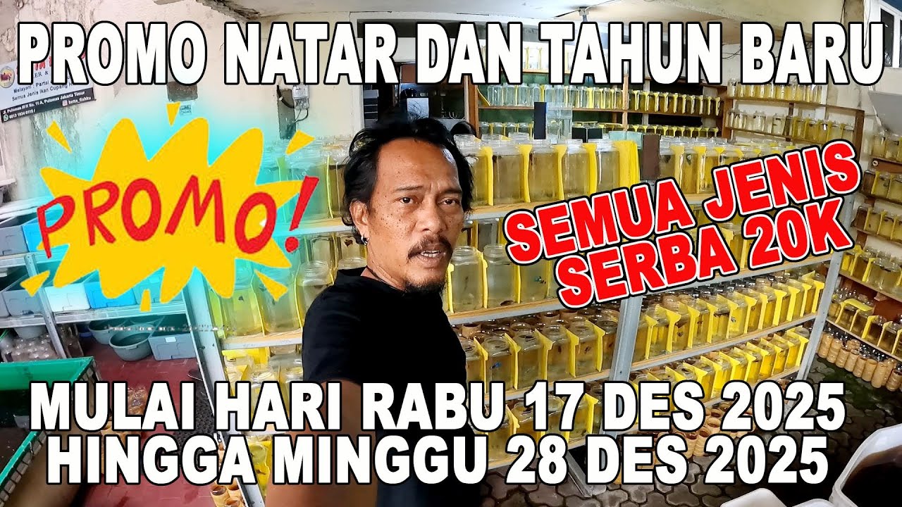 PROMO NATAL DAN TAHUN BARU SERBA DUA PULUH RIBU