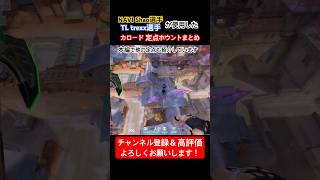 【VALORANT】NAVI Shao TL trexx選手が使用したカロード定点ホウントまとめ #valorant #ヴァロラント #フェイド #カロード #fade #vctemea #定点