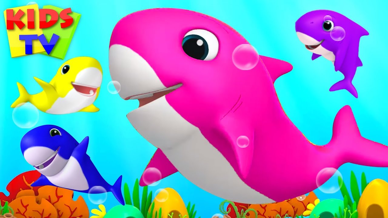 Baby Shark Song | Boom Buddies Cartoons | Kids Songs & Nursery Rhymes for  Toddlers - YouTube