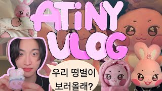 [ATINY VLOG/에이티니 브이로그] 저 동물들이 뭐라고 40만원을 쓰니..?뭐긴 뭐야 세상에서 제일 귀여운 애니티즈지 | 애니티즈 팝업 | 성수 공간 와디즈