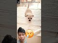 A new trending #viral video// #india #exploretripura //trending 4k viral video #incredibleindian