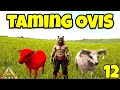 Taming Ovis || How To Tame Ovis Ark Ultimate Survival Mobile Edition || EP- 12
