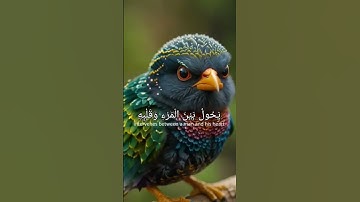 Quran,surah al anfal سورة الانفال
