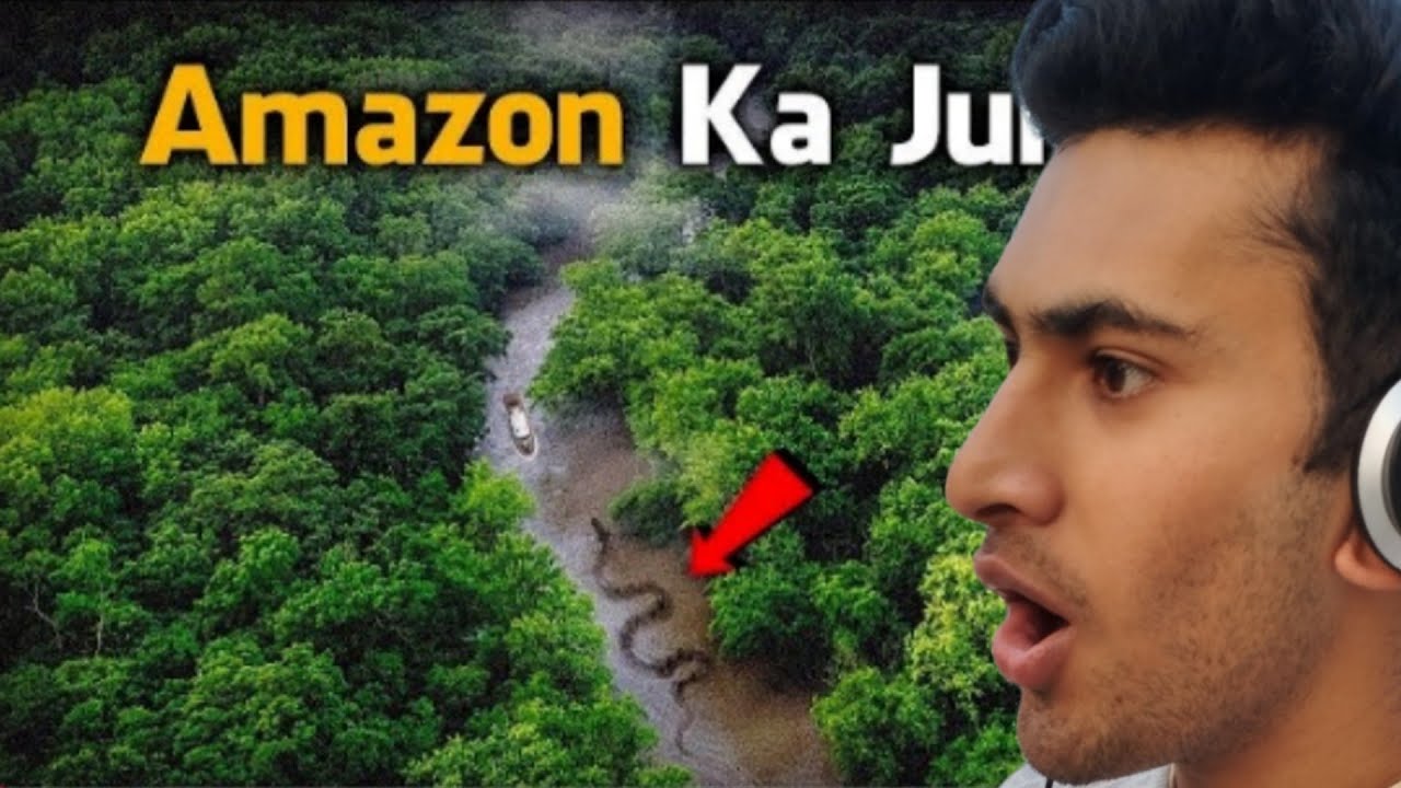 Mysterious Creators Of Amazon Rainforest 🤯 | Most Dangerous Animals Of Amazon Forest 🌲