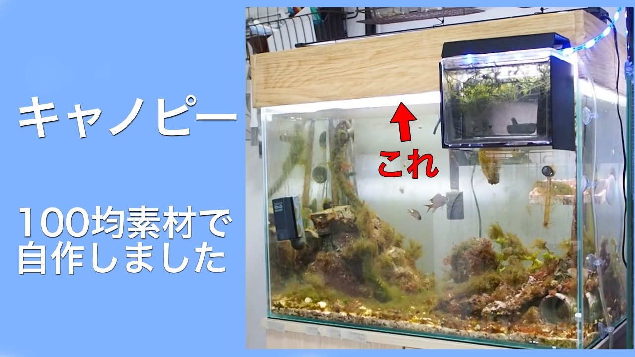 【自作】魚の飛び出し・地震での水漏れ対策として水槽用キャノピーを作ってみました【100均素材】