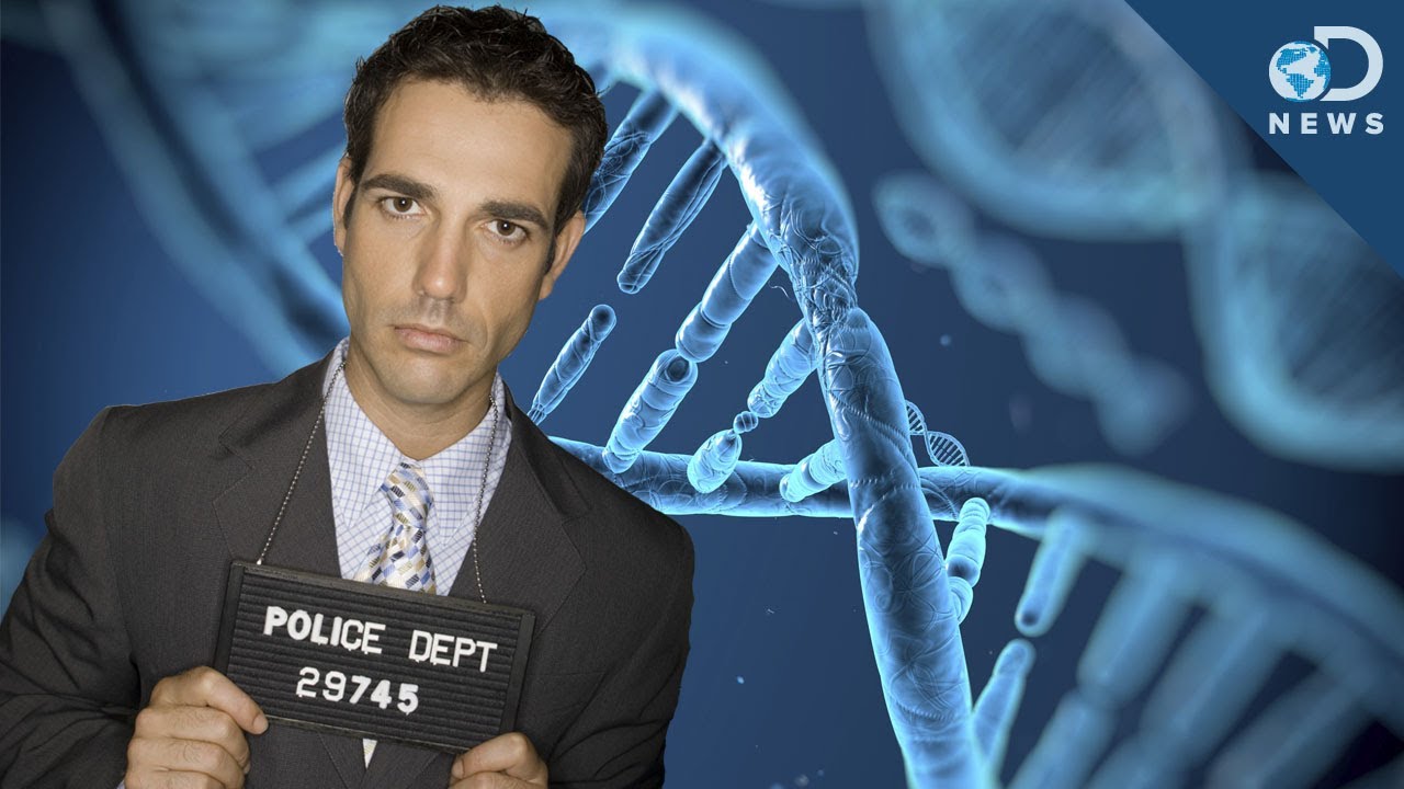 Using DNA To Create A Suspect's Mugshot!