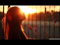 The Ambientalist Sunny Days 