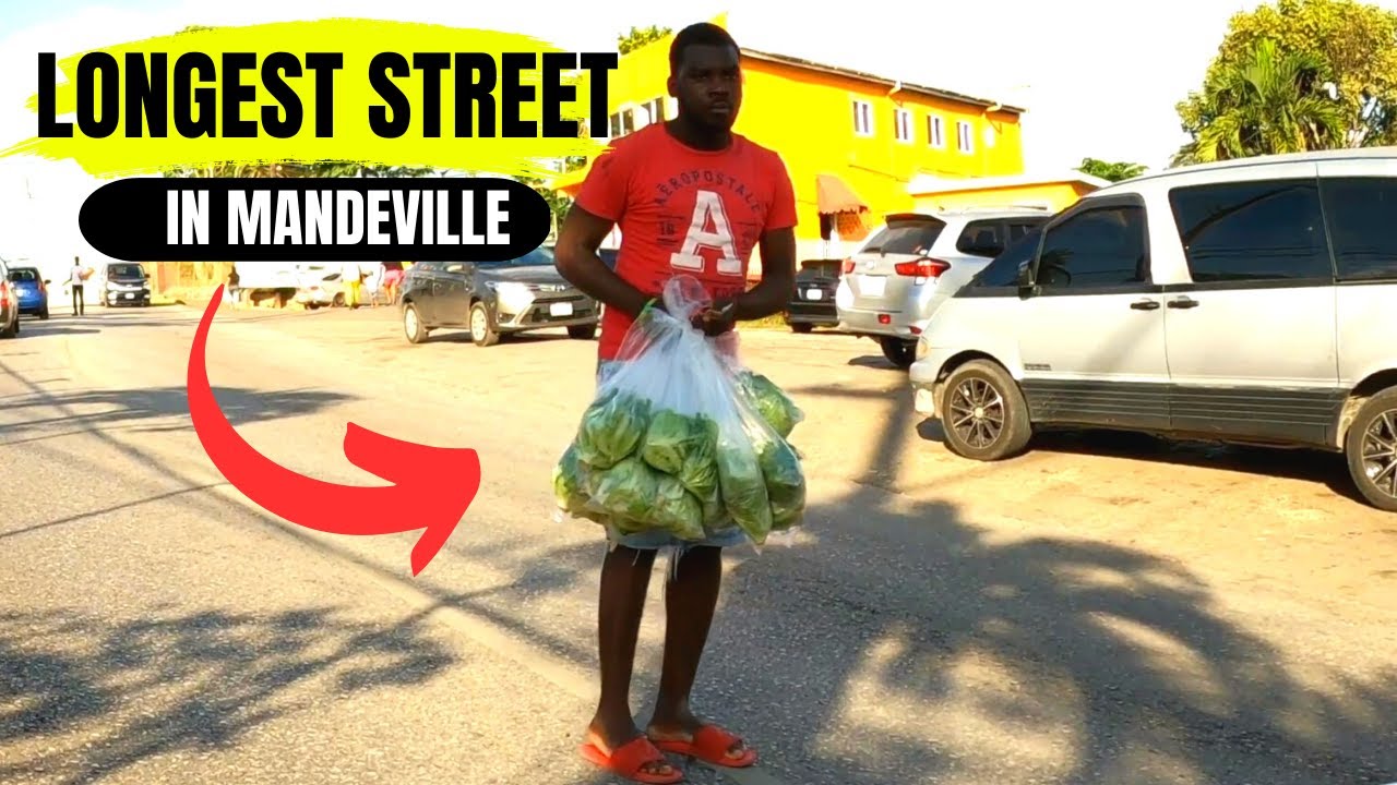 CALEDONIA ROAD MANDEVILLE MANCHESTER JAMAICA YouTube