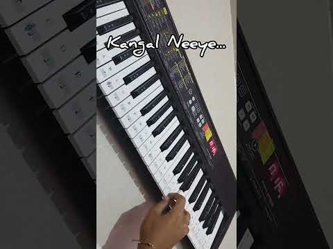 Kangal Neeye Song