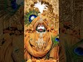 jai shree khatushyam#khatushyamstatus #bholebabastatus #hanumanstatus #mahadevstatus  #feedshort