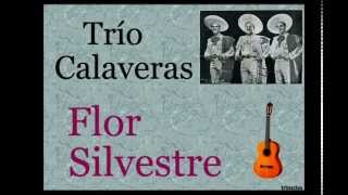 Trío Calaveras: Flor Silvestre. - (letra y acordes) chords