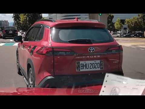 I've seen the Three Treasures, but never such shameless ones (sound on) (license plate: BHU-2020)