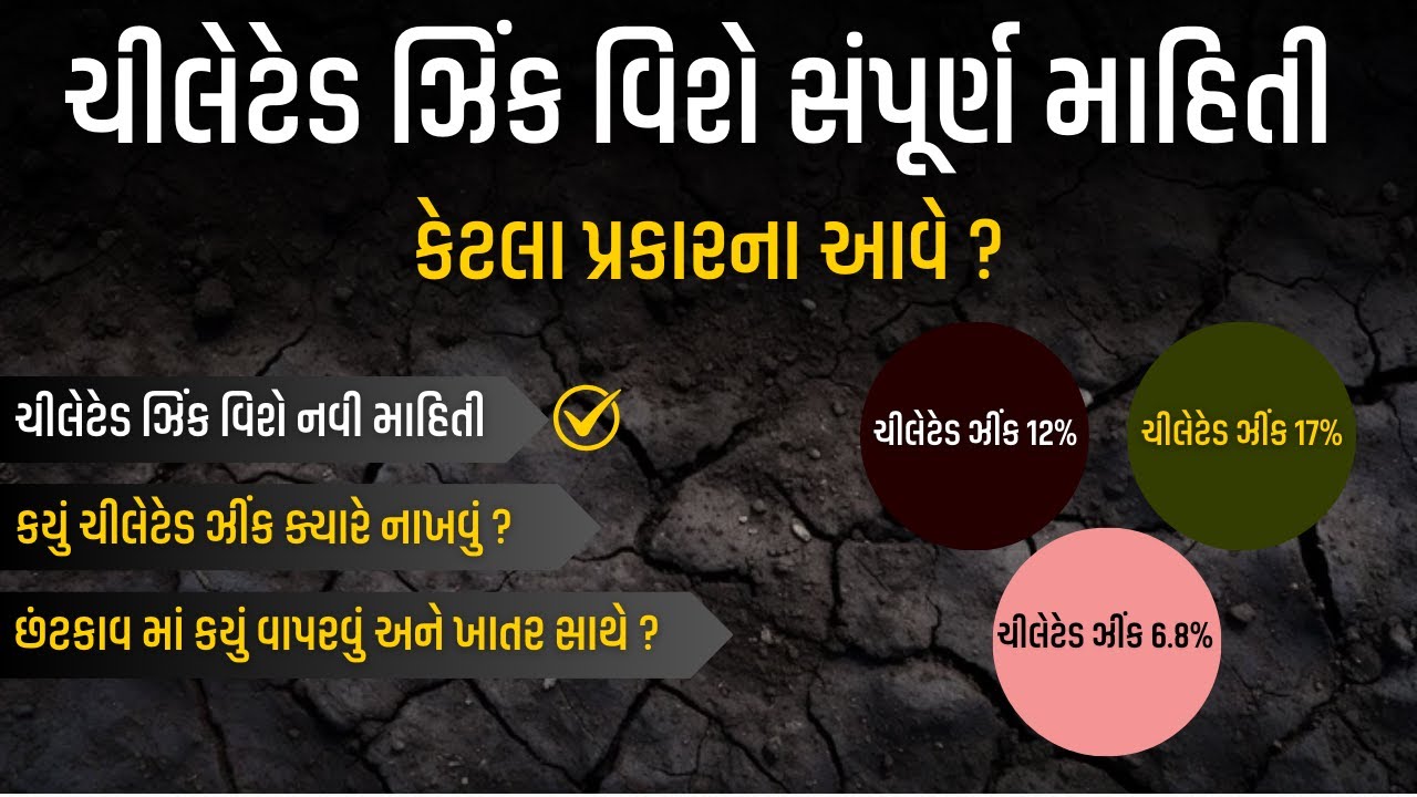 ચિલેટેડ ઝિંક ખાતર ની A To Z માહિતી । Chelated Zinc @KhedutPathshala