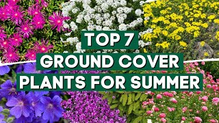 7 Ground Cover Plants That Bloom All Summer ☀️✨\/\/ PlantDo Home \& Garden