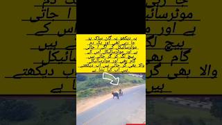 The YouTube Short video appears to show a motorcyclist losing control and crashing onto#shorts