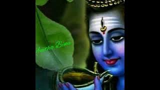 Silayay Piraviyundenkil...(Anitha Binu )