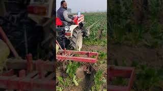 Swaraj 724 4 wheel drive