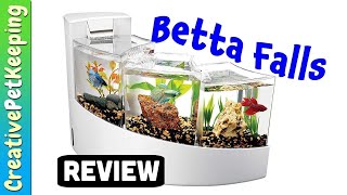 Aqueon | Betta Falls  Betta Desktop Aquarium Kit ★ REVIEW