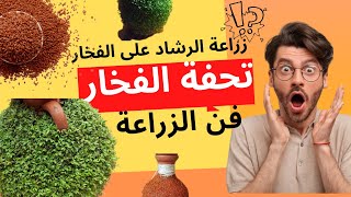 زراعة حب الرشاد  | اسهل طريقة زراعة على الفخار