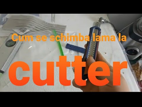 Video: Cum Se înlocuiește Lama