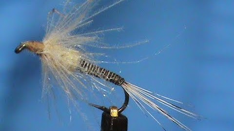 Beginner Fly Tying a CDC Flymph with Jim Misiura