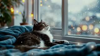 Full Calming Furry Friend Music - Nap Time to Support Pet Wellness Guide