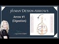 Productivity and the Human Design Arrows: Arrow #1 (Digestion)