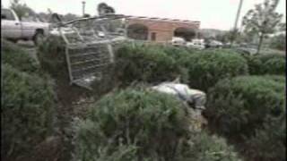 Cky 3-Shopping Carts