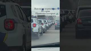 Повезло на дорозі