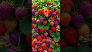 Easy and fast techniques for growing and propagating strawberry trees #garden #diy #fruits