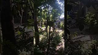 nasehat diri #shortsviral #catatankita #catatanmotivasi #funny #motivation #ghost #vlog #comedy