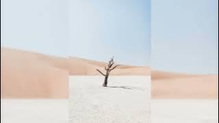 Я буду еб*ть (I will f*ck) - Moreart (Lyrics) - TikTok Song