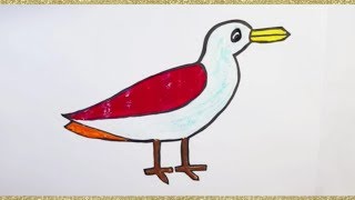 Learn how to draw beautiful Seagull | Learn paint and glitter |