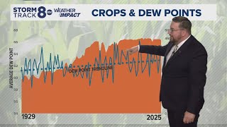 Ask Andrew | How much warmer is the dew point temperature due to corn sweat?