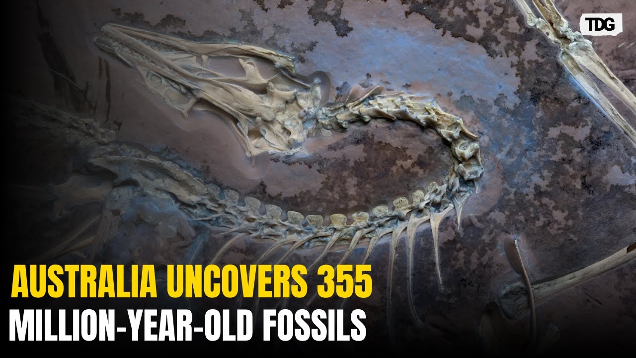 355-Million-Year-Old Fossil Footprints Unearthed in Australia in Major Discovery