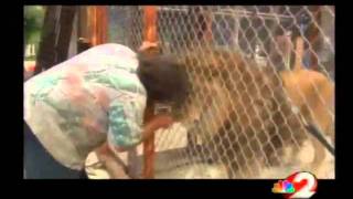 Clark Co. Sheriff asks for help in exotic animal database