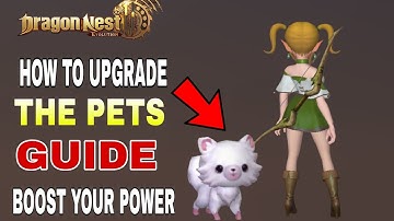 Dragon Nest 2 Evolution | Guide For Pets Upgrade | New MMORPG For Android/ios 2023
