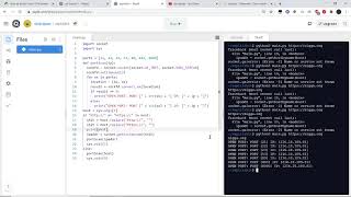 Simple port scanner in python