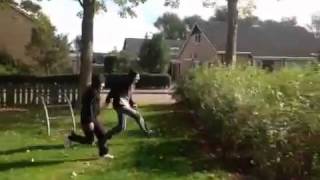 De bos kabouters