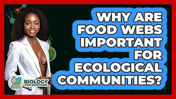 Why Are Food Webs Important For Ecological Communities? - Biology For Everyone