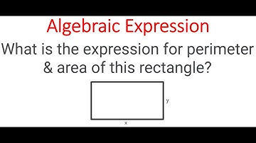 ALGEBRAIC EXPRESSION For Area & Perimeter Of Rectangle