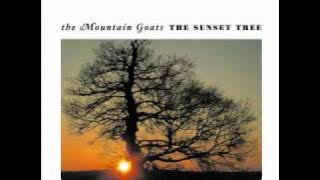 The Mountain Goats - This Year