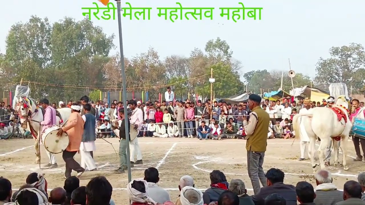 मेला महोत्सव नरेडी महोबा मुन्ना कमलपुरा हरि सिंह यादव रिवाई घोड़े का डांस कंपटीशन
