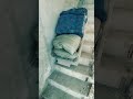 神奇油漆佬 懒人運輸 神奇油漆佬 懒人運輸