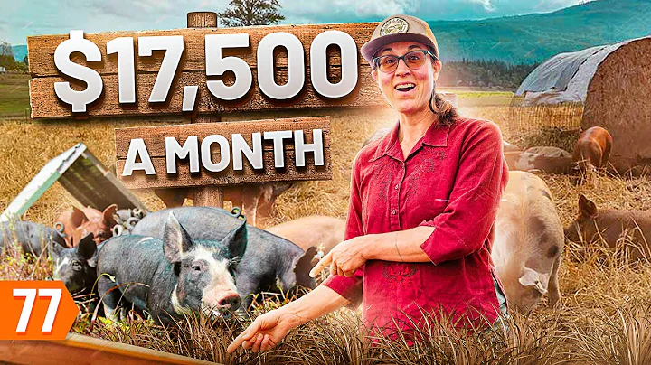 Starting a $188K/year Pig Farm Business (from Scratch) - DayDayNews