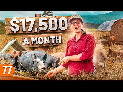 Video: Pig Farming As A Business
