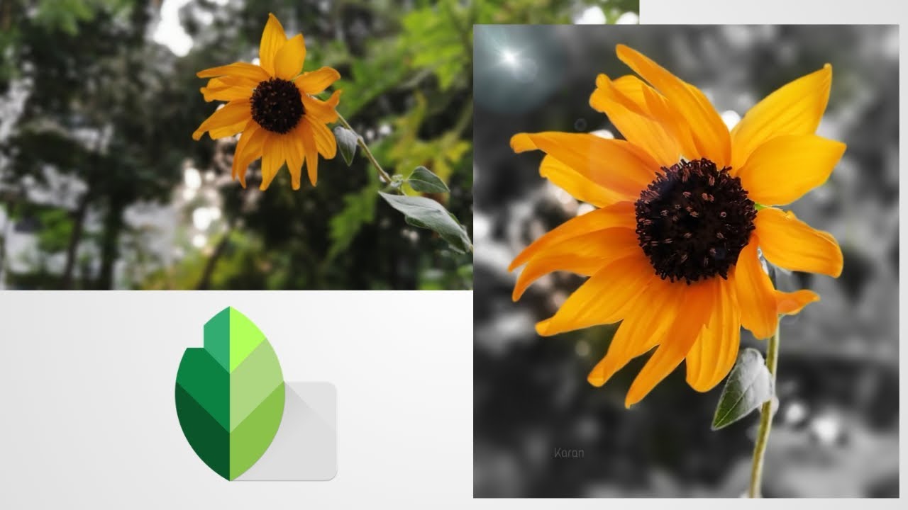 how to edit a photo like a pro || karan photography hub