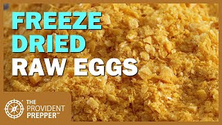 Food Storage: Freeze Dried Raw Eggs
